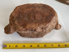 Ice Age Pleistocene Fossil