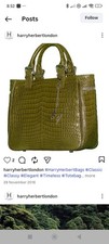 Crocodile skin ladies - skin,