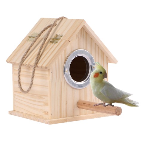 Parakeet nesting parrot wooden - parakeet,