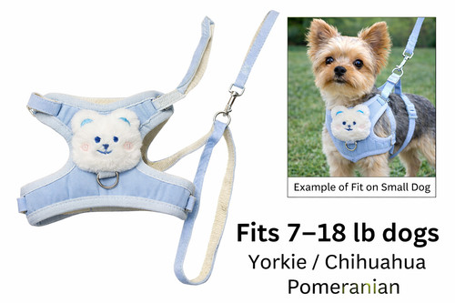 Cute teddy bear - cute, dog