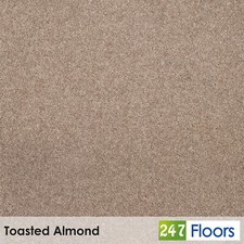 Toasted Almond Pembroke Twist