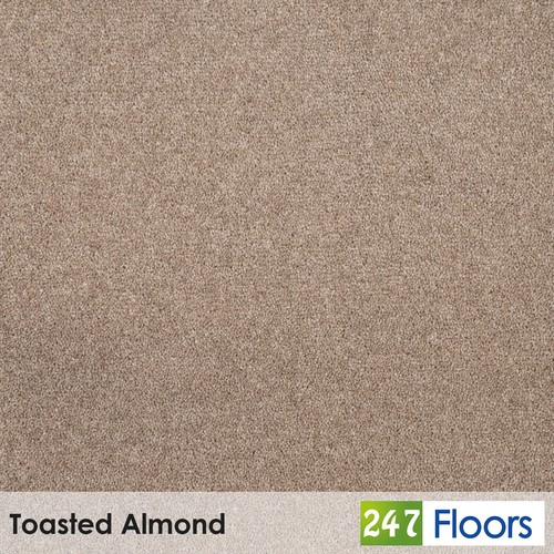 Toasted almond pembroke twist - almond,