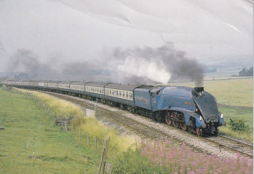 Sir nigel gresley steam train - sir,