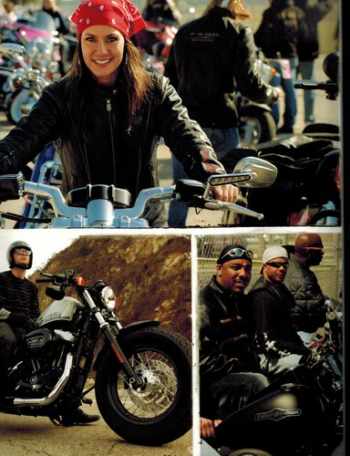 Harley davidson inc - inc, 2009
