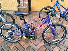 Wiggins Chartres 20-inch