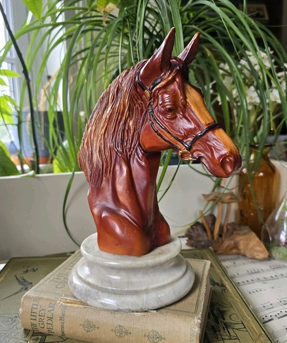 Vintage arabian horse head - horse,