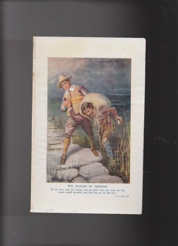 Colour print harold - colour, ,