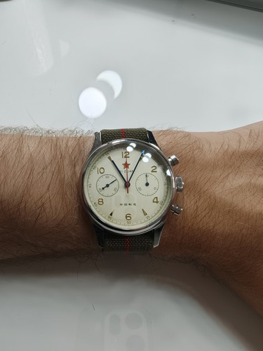 Seagull 1963 automatic - seagull,