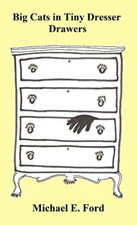 Big Cats in Tiny Dresser