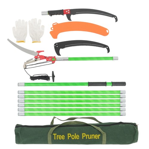 Feet tree pole - tree,