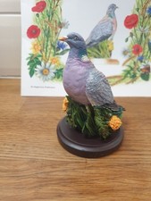 Very Rare the GREY Partridge