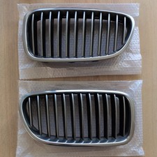 BMW 5 Series M Sport Kidney