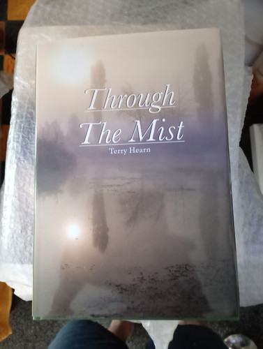 Through the mist terry - through,