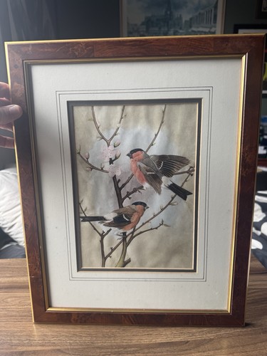Framed print two bull - framed,