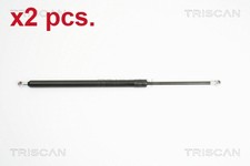 X2 PCS TAILE GATE GAS SPRINGS