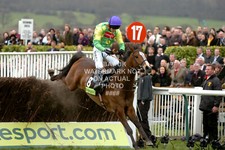 KAUTO STAR RUBY WALSH 2007