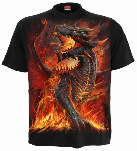 Spiral direct draconis - direct,