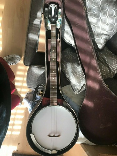 1960 kay string - string, banjo