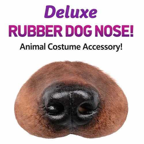 Deluxe brown dog - dog, nose