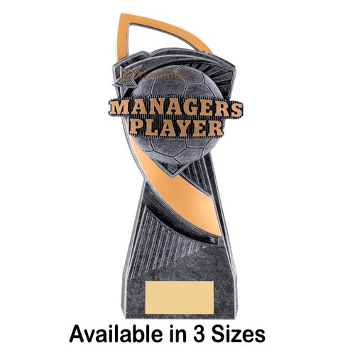 Managers player football - player,