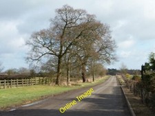 Photo 6x4 Derby Lane by