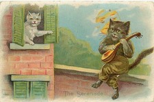 Postcard Anthropomorphic Cat