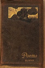 THE POETICAL WORKS OF ROBERT