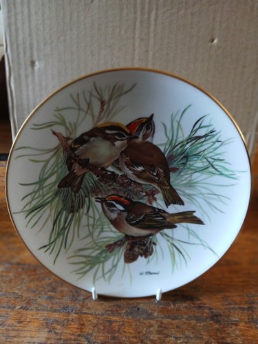 Wwf collectors plate - wwf,