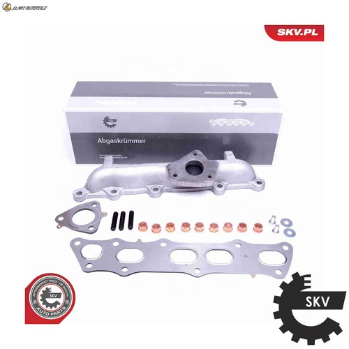 Manifold exhaust system - exhaust,