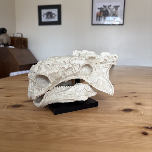 Anklyosaurus dinosaur replica - dinosaur,