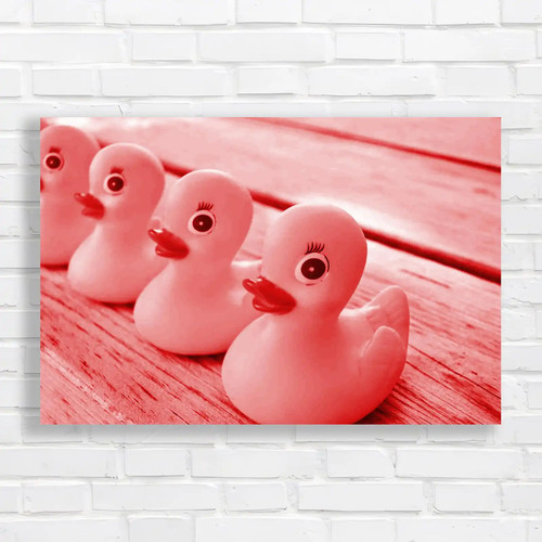 Charming rubber ducks for - charming,