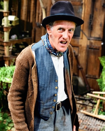 Steptoe and son colour x - colour, 10"