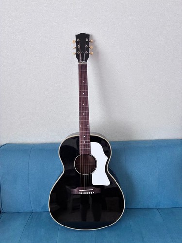 Style acoustic guitar - j-45,