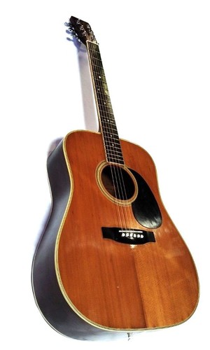 Tokai cat eyes acoustic - cat's,