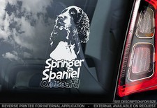 English Springer Spaniel - Car