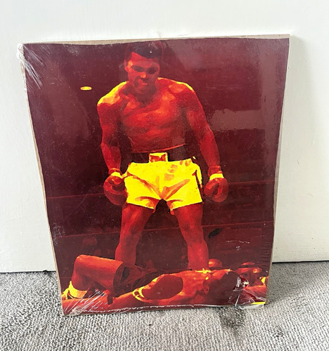Boyztoys muhammad ali boxing - muhammad,
