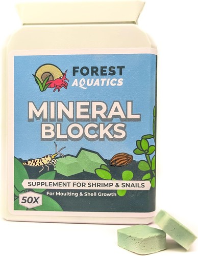Calcium mineral block - x,