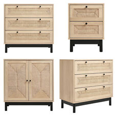 Modern Rattan Storage Cabinet