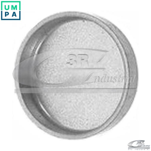 Frost plug 84049 for citroën - plug,