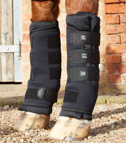 Premier equine stable boot - equine,