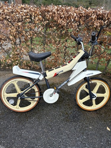 Raleigh vektar - raleigh,