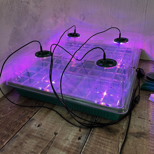 Plant propagator cell - 40,