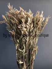 DRIED OAT 100GRAMS NATURAL