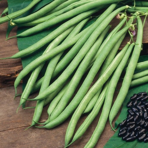 Climbing french bean - 50,