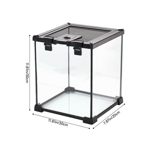 Glass reptile terrarium lizard - glass,