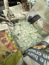 Shop Clearance Last Stock For Sale Sea Shells For Crafting