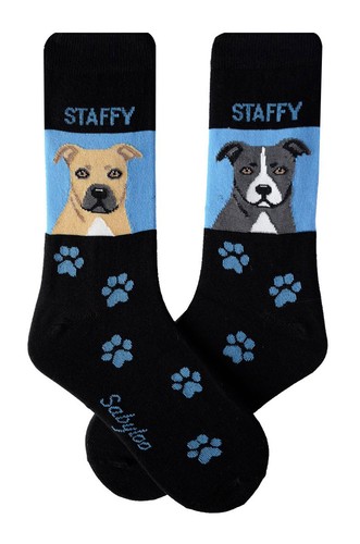 Staffordshire bull terrier - staffordshire,
