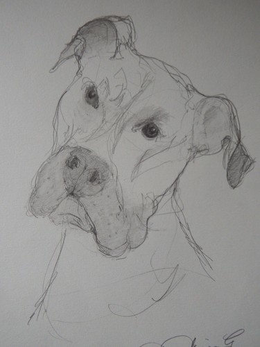 Original pencil light tonal