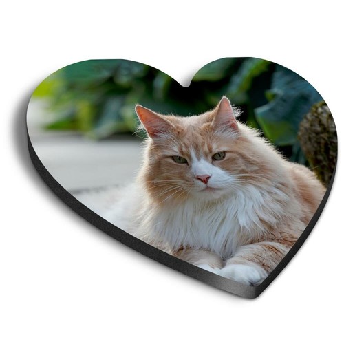 Heart mdf magnets norwegian - magnets,