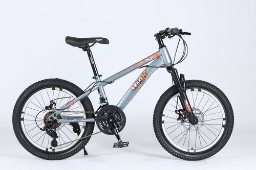 Inch mountain bike speed - 20,